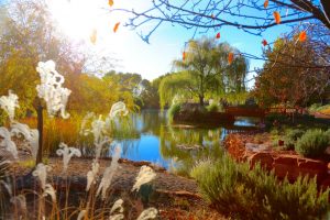 Sedona Mago Retreat Center, Sedona