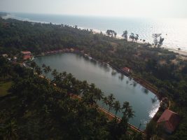 Veda5 Ayurveda & Yoga Wellness Retreat in Arambol, North Goa, INDIA