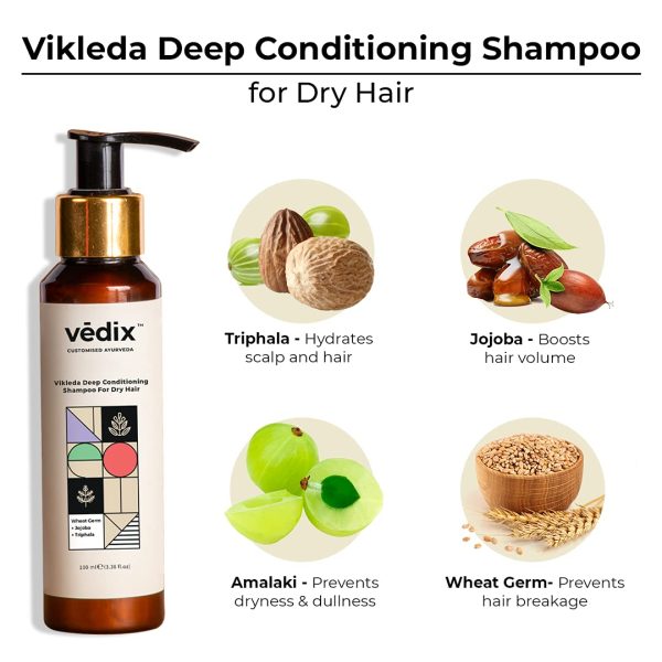 Ayurveda Yoga World Vedix Customized Hair Fall Control Regimen for Dry Hair 5
